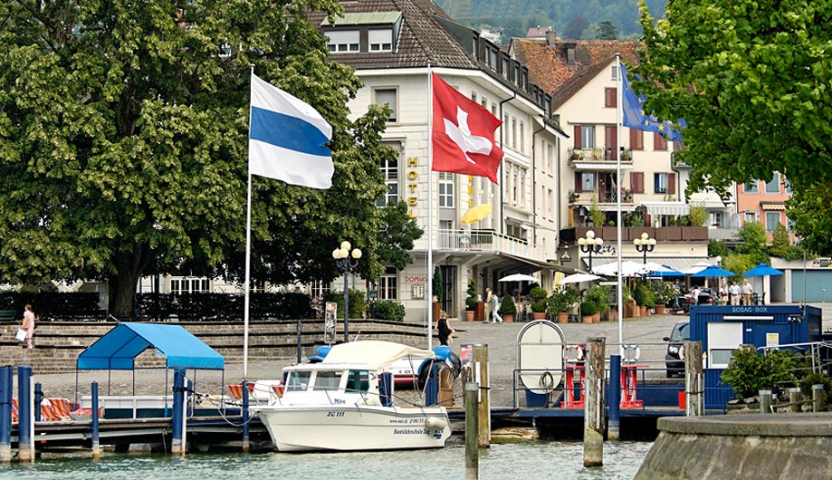 Photo of the Löwen am See luxury hotel  the restaurant with classic european dishes and vegetarian best location for birthday party in Zug