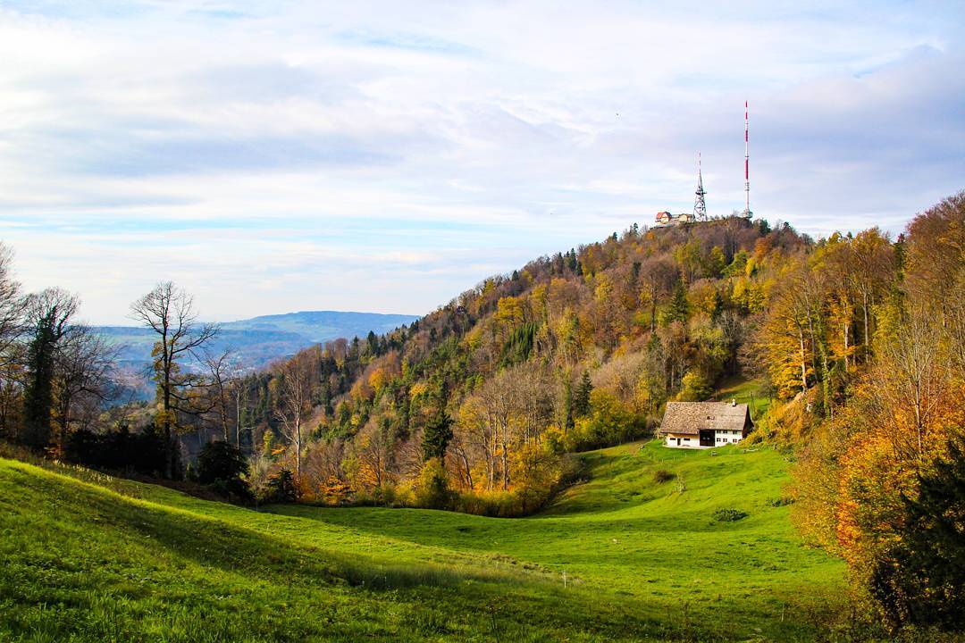 Beautiful view of Uetliberg